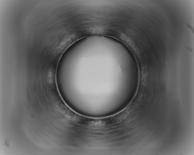 X0000101680161200807171420