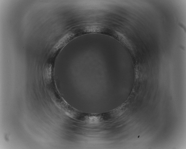 X0000101680163200807171420