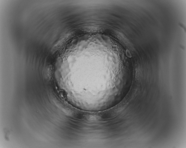 X0000101680165200807171420