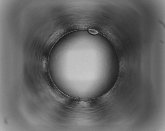 X0000101680166200807171420