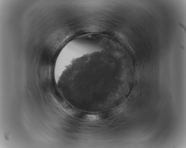 X0000101680167200807171420