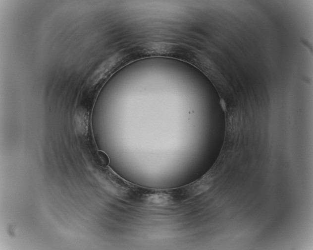 X0000101680168200807171420