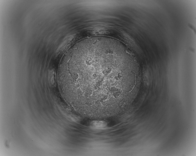 X0000101680169200807171420