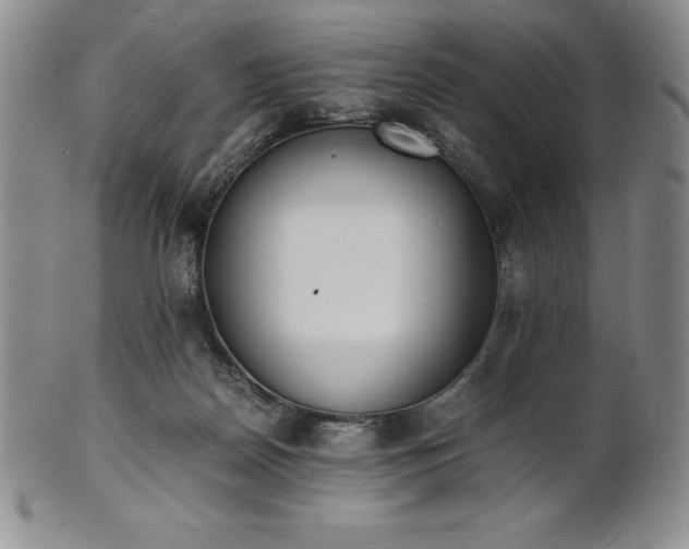 X0000101680170200807171420