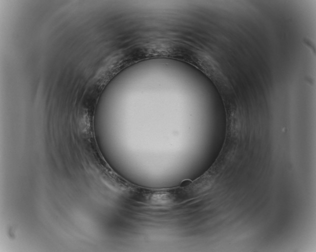 X0000101680173200807171420