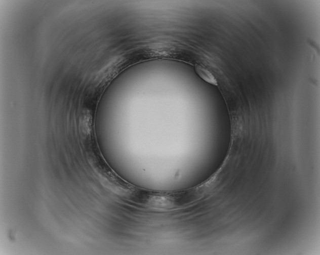 X0000101680174200807171420