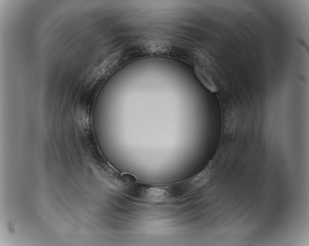 X0000101680176200807171420