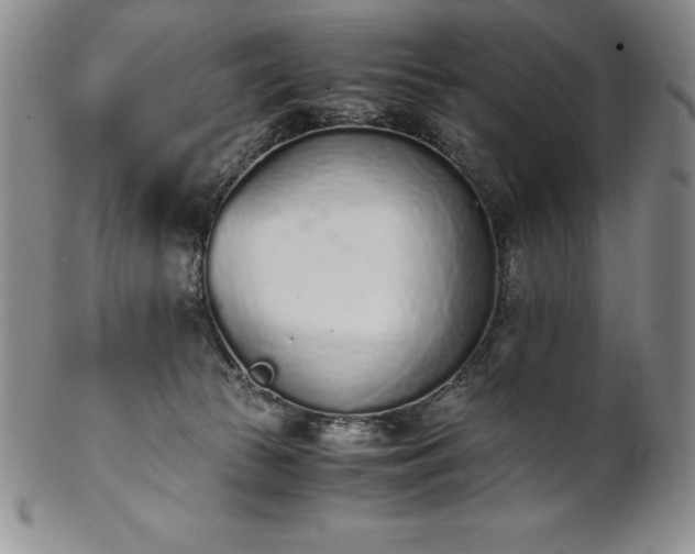 X0000101680177200807171421