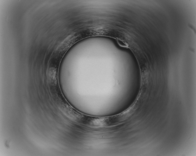 X0000101680178200807171421