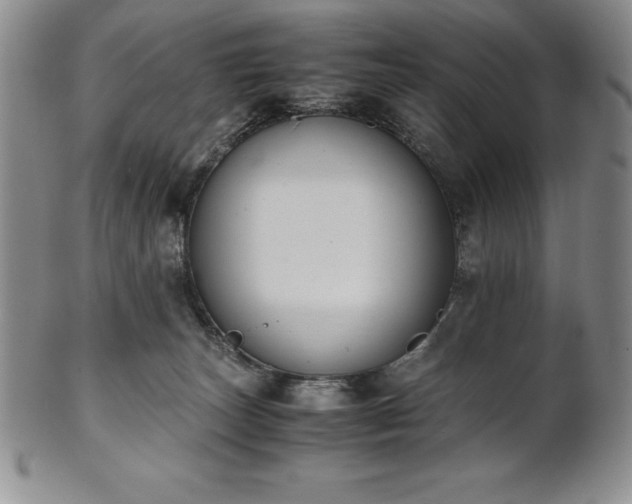 X0000101680179200807171421