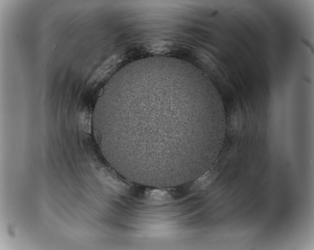 X0000101680180200807171421