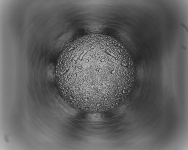 X0000101680181200807171421