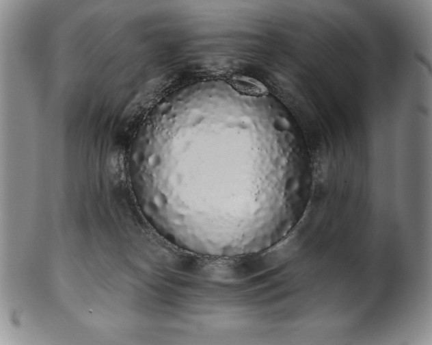 X0000101680182200807171421