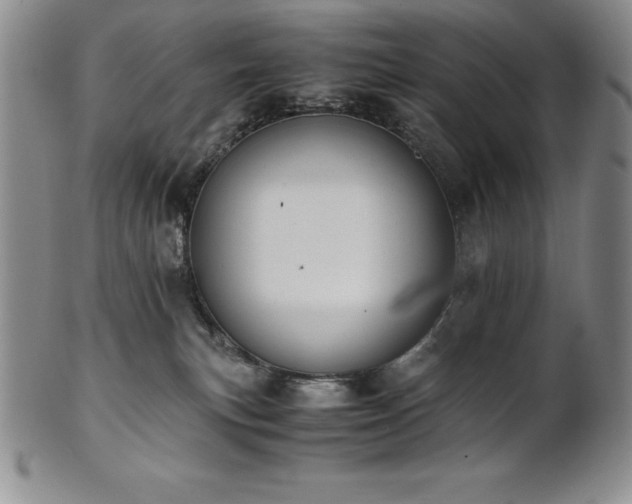 X0000101680183200807171421