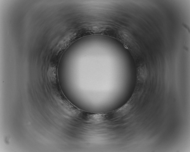 X0000101680184200807171421