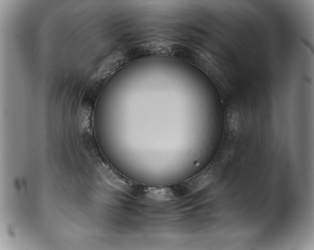 X0000101680185200807171421