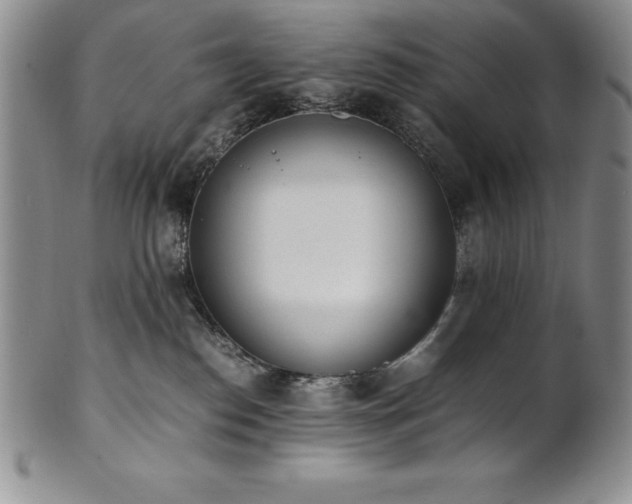 X0000101680186200807171421