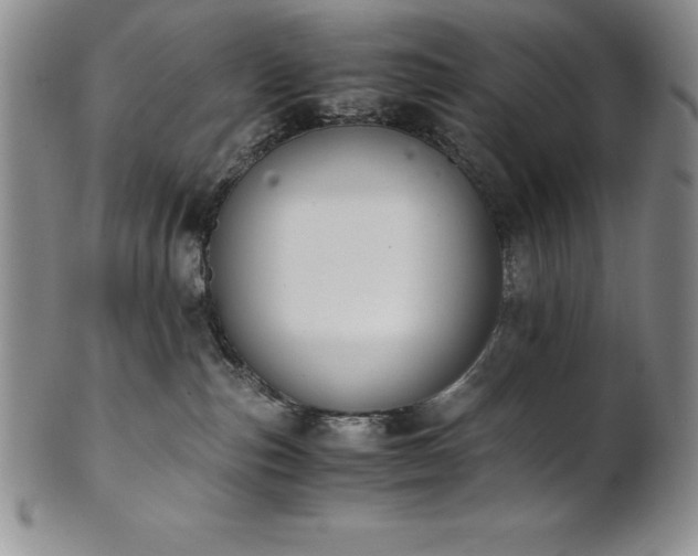 X0000101680187200807171421