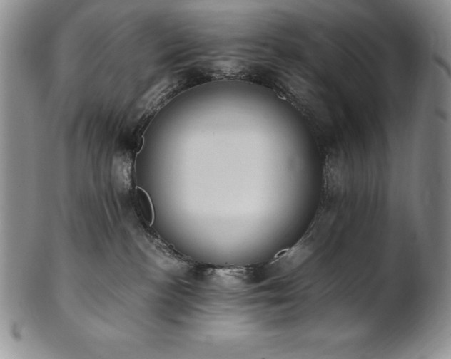 X0000101680188200807171421