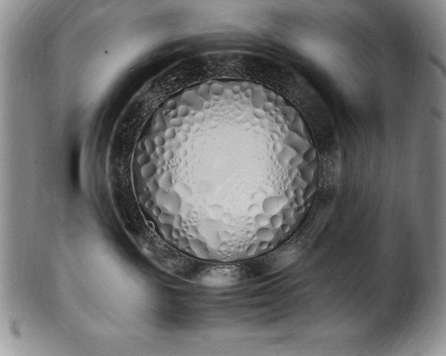 X0000101680189200807171421