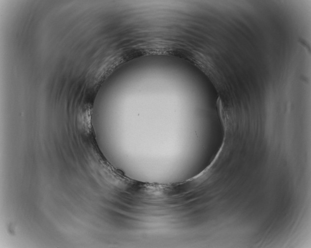 X0000101680190200807171421