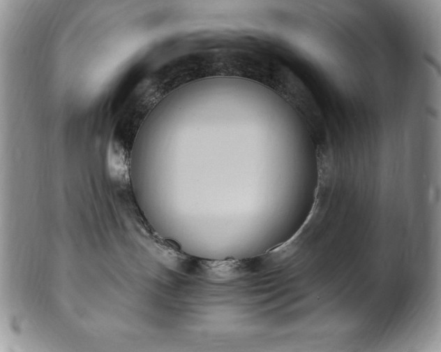 X0000101680191200807171421