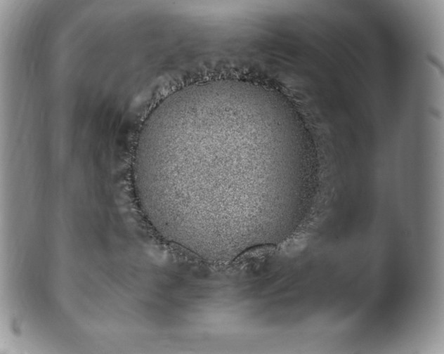 X0000101680192200807171421