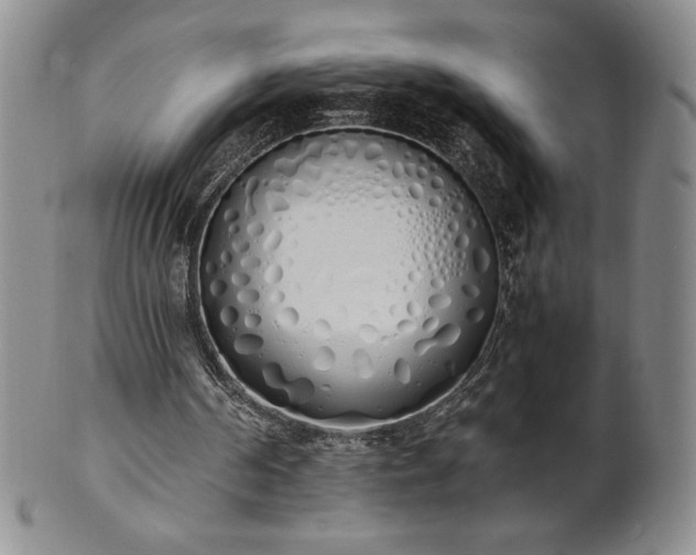 X0000101680194200807171420