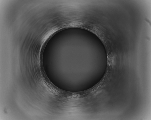 X0000101680196200807171420