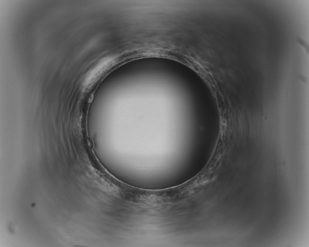 X0000101680197200807171420