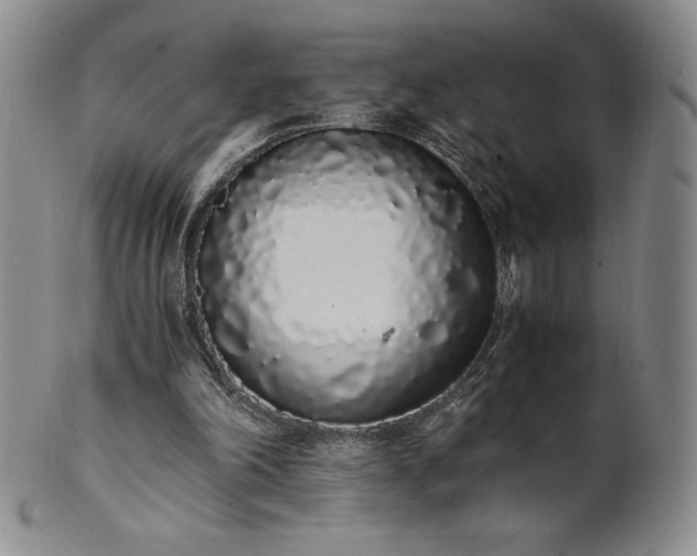 X0000101680198200807171420