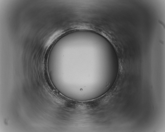 X0000101680199200807171420