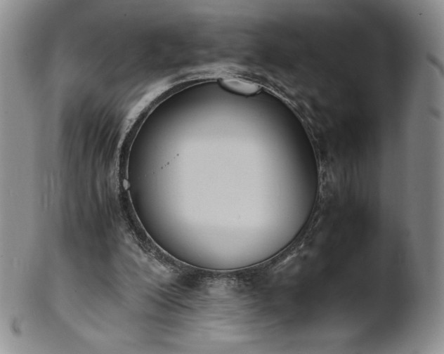 X0000101680200200807171420