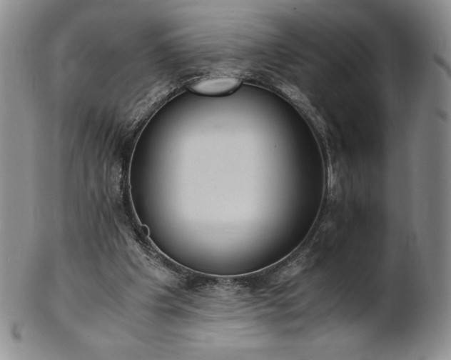 X0000101680201200807171420