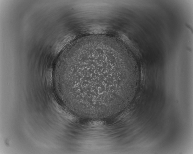 X0000101680202200807171420