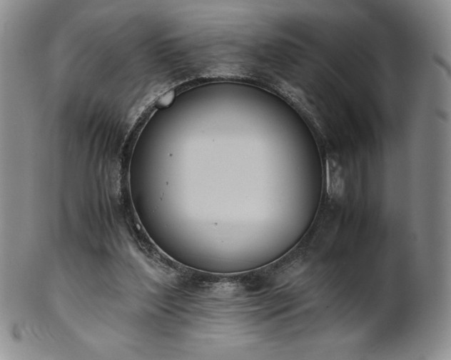 X0000101680204200807171420