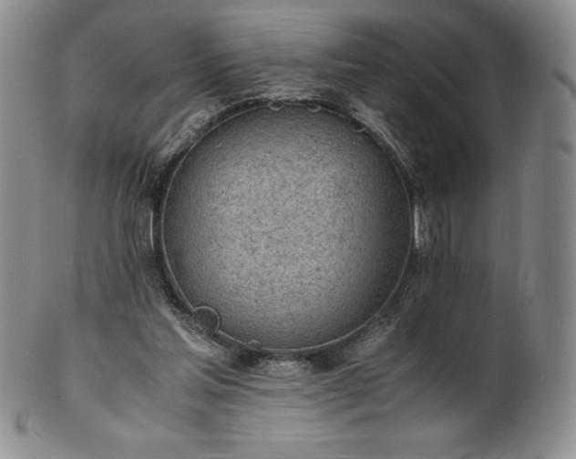 X0000101680205200807171420