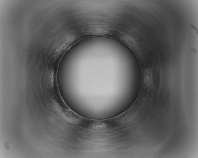 X0000101680206200807171420