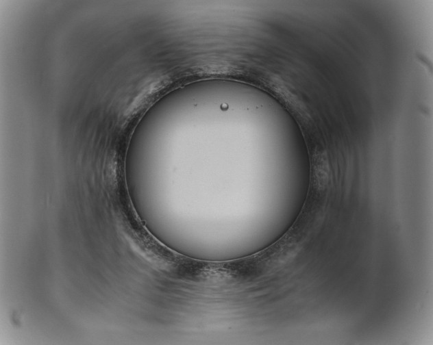 X0000101680207200807171420