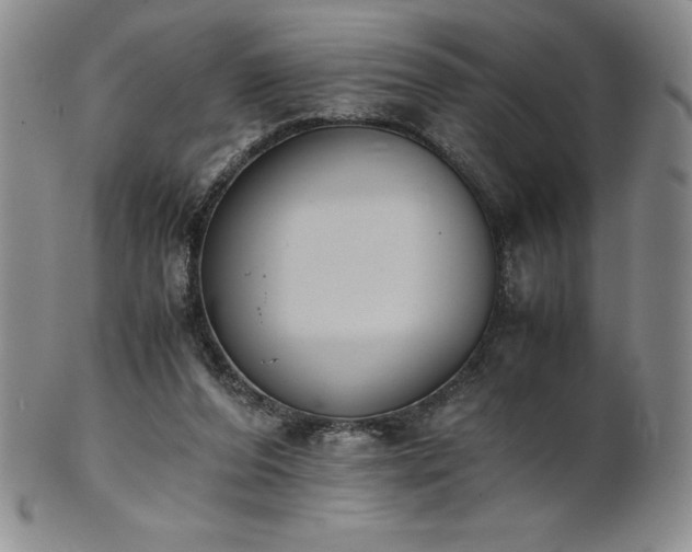 X0000101680208200807171420