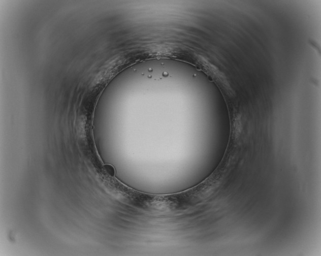 X0000101680209200807171420