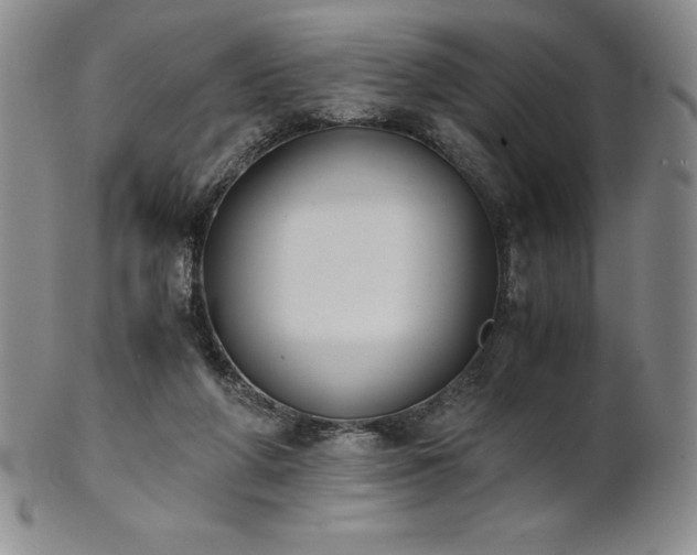 X0000101680210200807171420