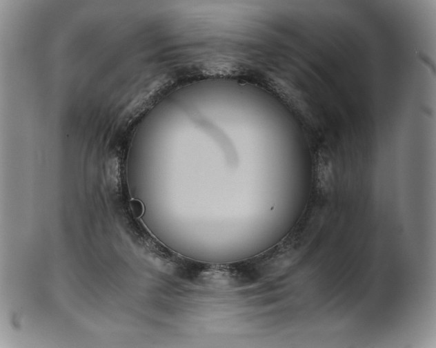 X0000101680211200807171420