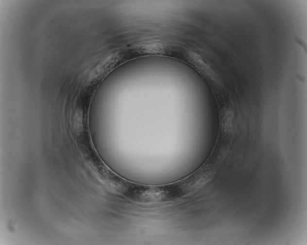 X0000101680213200807171420