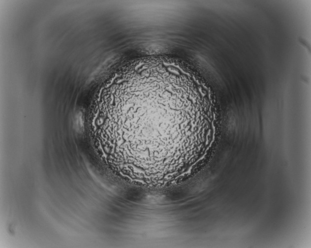 X0000101680214200807171420