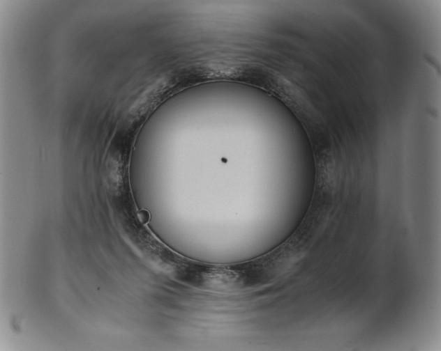 X0000101680215200807171420