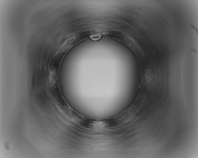 X0000101680218200807171420