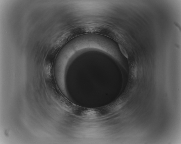 X0000101680219200807171420