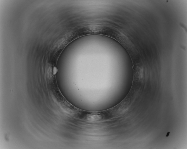 X0000101680220200807171420