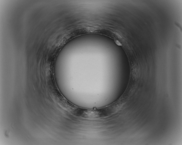 X0000101680221200807171420